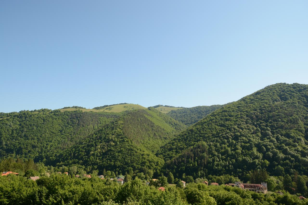 Park Hotel Ribaritsa 外观 照片